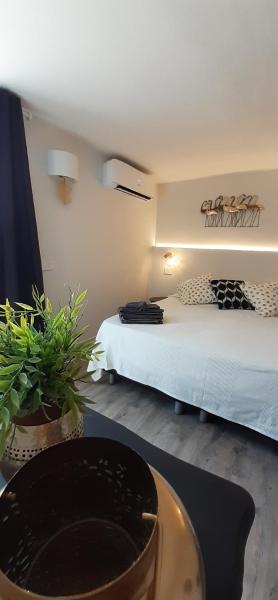 Camere e attico al mare Gabicce Mare